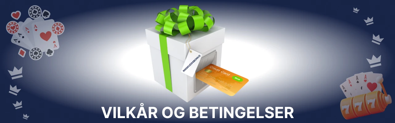 Vilkår og betingelser for lilibet innskuddsbonus